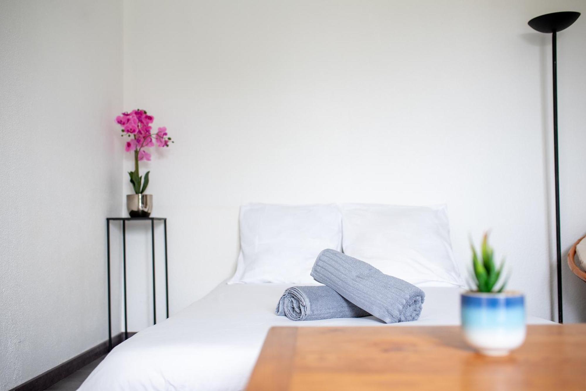 T2 Rangueil - Terrasse + 2 Parkings - 4 Personnes Lägenhet Toulouse Exteriör bild